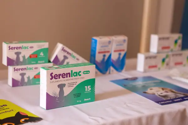 Segundo dia do V Congresso Internacional ABMeVeC — foto 4